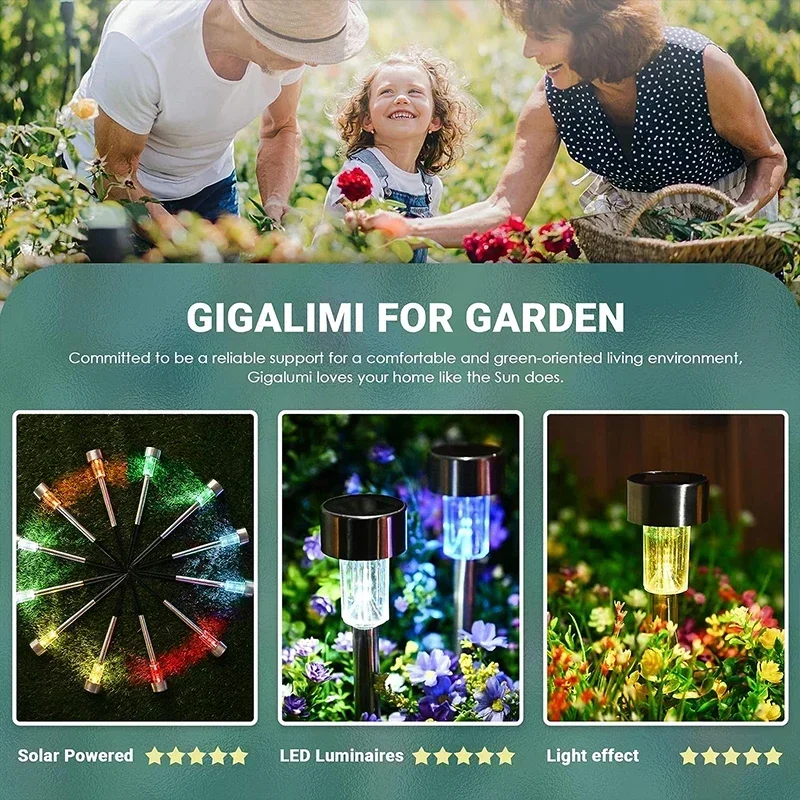 Solar-Außenleuchten, Gartenlam – String Light Outdoor Bewertung und Preis